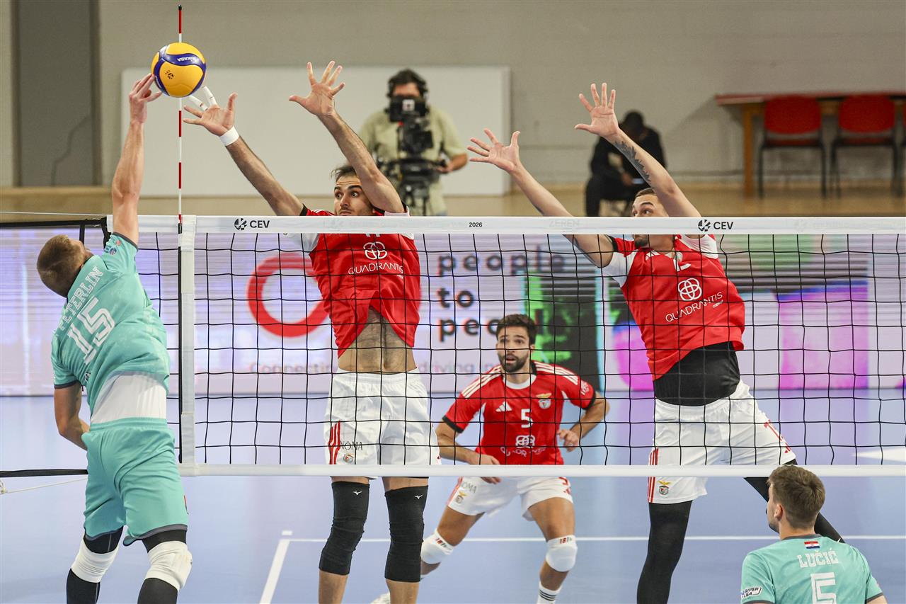 c8a9cdc78bd5c1c74e26a036d41c670b 51109