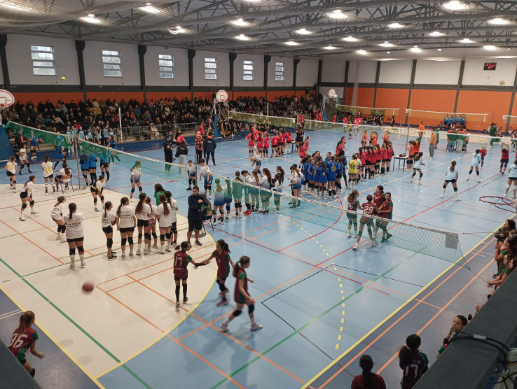 RESULTADOS 5º CIRCUITO REGIONAL MINIVOLEIBOL AVL &quot;PROFESSOR ANTÓNIO MARTINS&quot; 24/25 - ZONA C
