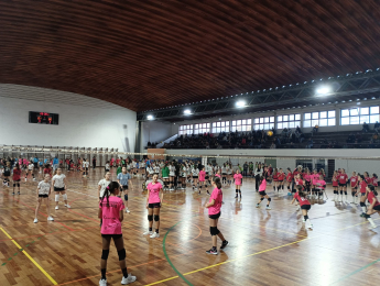 RESULTADOS CIRCUITO REGIONAL MINIVOLEIBOL AVL "PROFESSOR ANTÓNIO MARTINS" 25/26