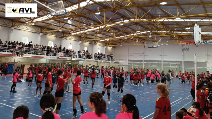 9º Torneio Minivoleibol Circuito Regional AVL &quot;Professor António Martins&quot; 2024/2025