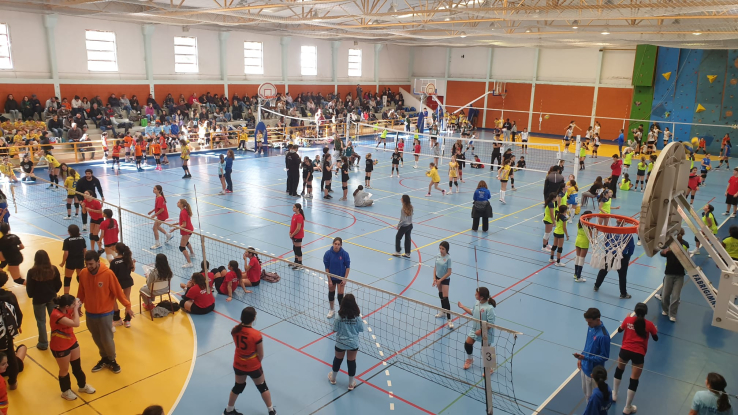 8º Torneio Minivoleibol Circuito Regional AVL &quot;Professor António Martins&quot; 2024/2025