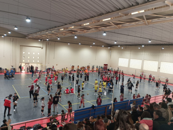 11º Torneio Minivoleibol Circuito Regional AVL &quot;Professor António Martins&quot; 2024/2025