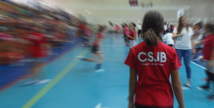 Novidades Minivoleibol 19/20
